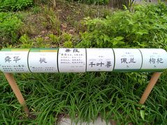 -和平公园