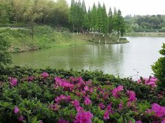 -宜兴龙背山森林公园