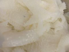 -川香煲(茅台路店)