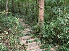 -南山风景名胜区