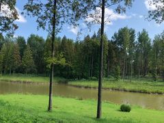 -黄海国家森林公园