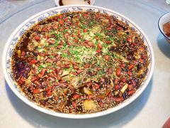 -新概念来凤鱼(璧山店)