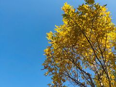 -家有美味(户部山二店)