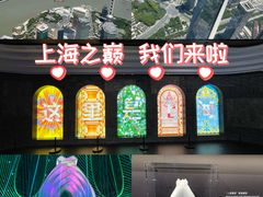 -上海中心大厦