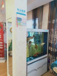 -资医堂专业袪痘袪斑