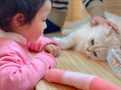 -猫腻·猫咖·撸猫馆(星光大道店)
