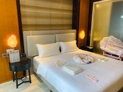 -明宇集团·积木枝芽母婴健康管理中心(天府店)