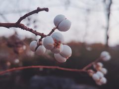 -上海海事大学(临港校区)