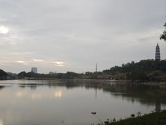-顺峰山公园