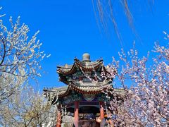 -颐和园