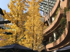 -新元素餐厅(瑞虹天地月亮湾店)