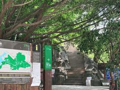 -梧桐山风景名胜区