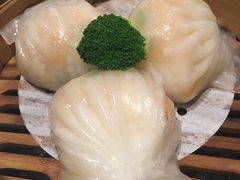 -新兴·金羊座·粤菜点心(乐峰店)