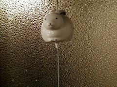 -铃木食堂(帽儿胡同店)