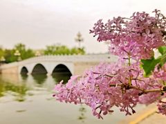 -陶然亭公园
