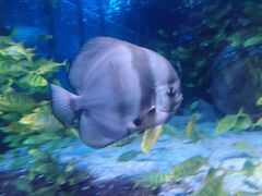 -太平洋海底世界