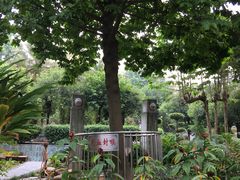 -广州神农草堂中医药博物馆