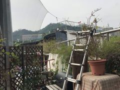 -深圳精英游艇会