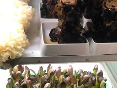 -番食园鲜食火锅(高新店)