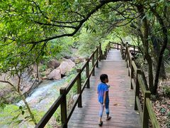 -广州白江湖森林公园