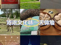 -洪祥大酒店(大庆东路店)