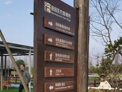 -田园东方蜜桃村的田野营地