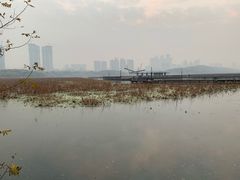 -月湖风景区