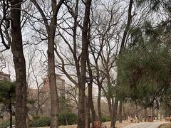 -元大都城垣遗址公园