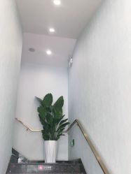 点击看大图 -YESIDO椰岛美容