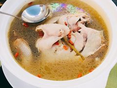 铁皮石斛土鸡汤-汇璟•海鲜青岛菜