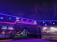 -枫花园汽车电影院(朝阳公园店)