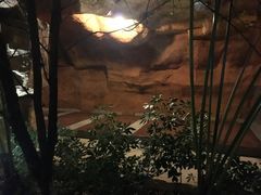 -韶关经律论国际酒店温泉