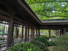 -唐城墙遗址公园