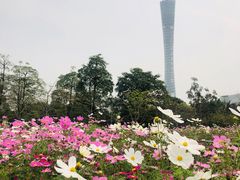 -二沙岛艺术公园