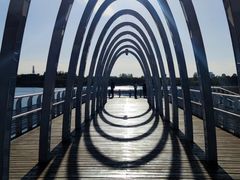 -大兴滨河森林公园