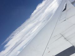 -新加坡航空公司(ION)