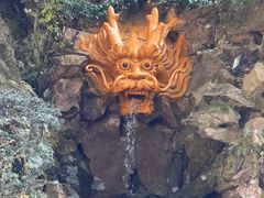 -杭州黄龙洞