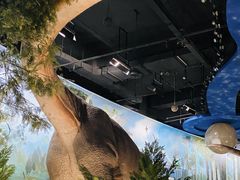 -陕西自然博物馆