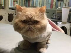 -小时光咖啡馆(开森度假森林店)