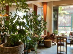 -慢丽江·云南野生菌土鸡锅(付家庄店)