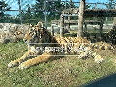 -西霞口神雕山野生动物世界