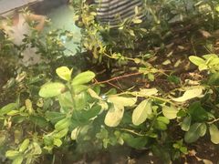 -上海昆虫博物馆