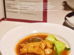 鲍汁花菇扣鱼胶-三号黄浦会Canton Table