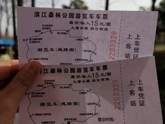 -上海滨江森林公园