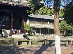 -峙山公园