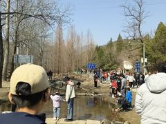 -白水寺森林公园