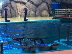 -福州罗源湾海洋世界旅游区