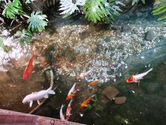 -聚缘堂·海鲜私房菜(松岭路店)
