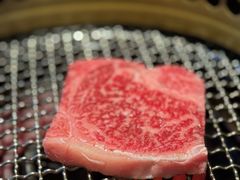 -老乾杯(深圳湾万象城店)