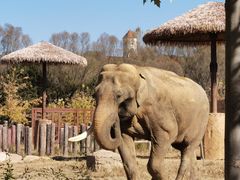 -沈阳森林动物园